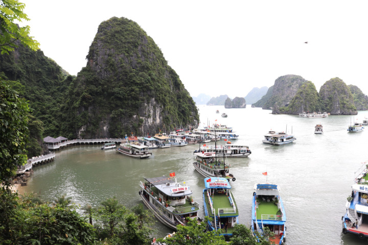 Quảng Ninh: Tạm ngừng cấp phép cho các phương tiện thuỷ ra khơi từ 12 giờ ngày 22/7