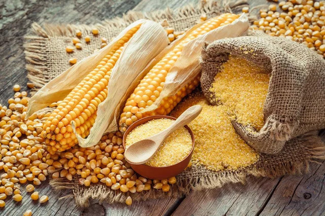 9 lợi ích cho sức khỏe của ngô
