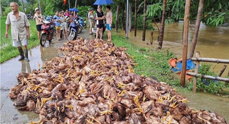 Yên Bái chịu thiệt hại lớn do mưa lũ