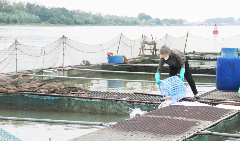Bắc Ninh: Đảm bảo an toàn hạ du khi hồ thủy điện Hòa Bình mở cửa xả đáy thứ 3