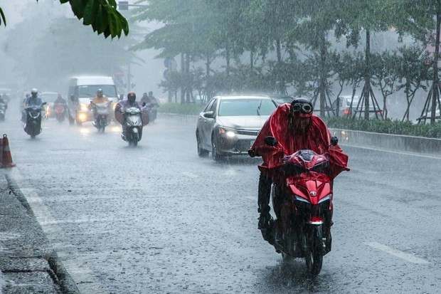 Dự báo thời tiết ngày 11/8: Khu vực vùng núi Bắc Bộ có mưa vừa, mưa to và dông