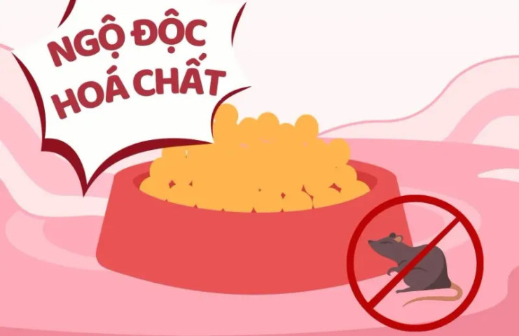 TP Hồ Chí Minh: Nhiều trường hợp ngộ độc như thuốc diệt chuột, thuốc trừ sâu,... đặc biệt là trẻ nhỏ dưới 6 tuổi chiếm đa số