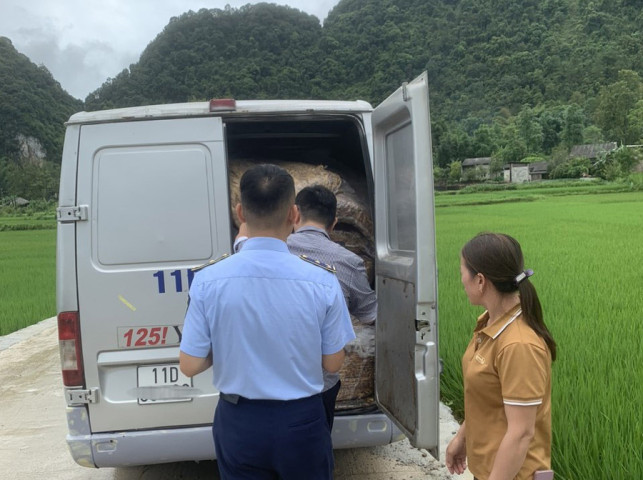 Cao Bằng phát hiện, tạm giữ 1.565 kg nguyên liệu thuốc lá nhập lậu