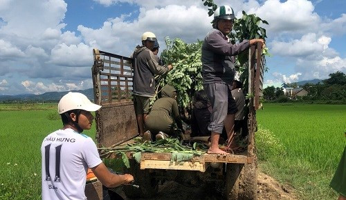 Kon Tum: Hai em nhỏ đuối nước tử vong khi rửa mạ non để phục vụ cấy lúa