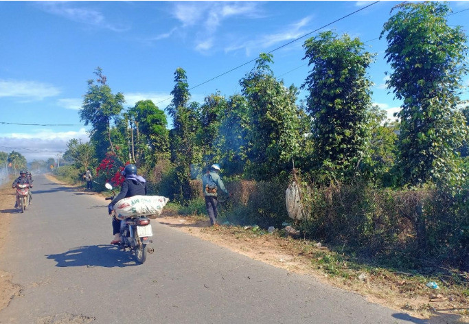 Đắk Lắk: Một người đàn ông bị đá đè tử vong khi đi lấy măng