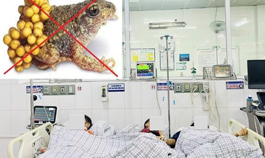 Lâm Đồng: Cha tử vong, con nhập viện cấp cứu nghi do ngộ độc thịt cóc