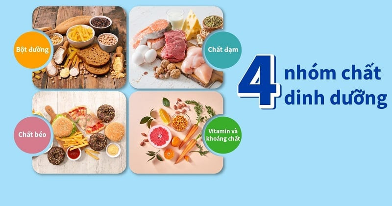 Dinh dưỡng cân bằng cho “tuổi vàng” khỏe mạnh
