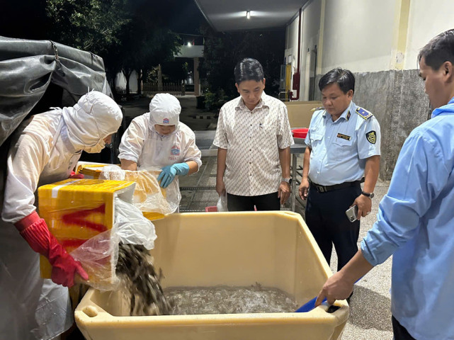 Kiên Giang kiểm tra và phát hiện gần 700kg tôm chứa tạp chất đang lưu thông trên thị trường