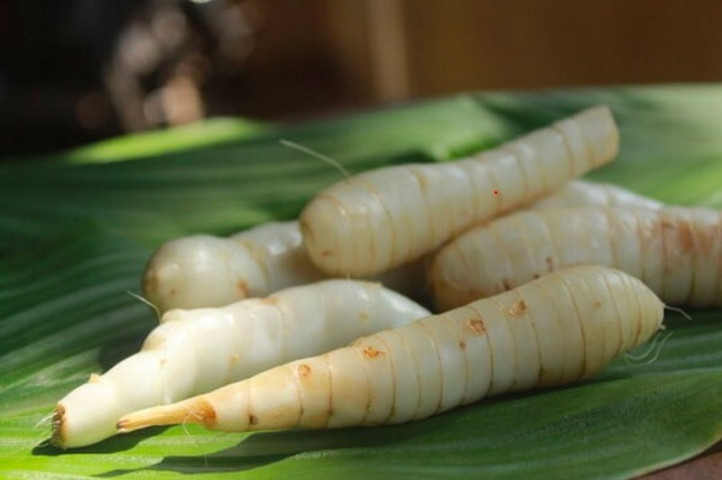 Lợi ích của củ dong