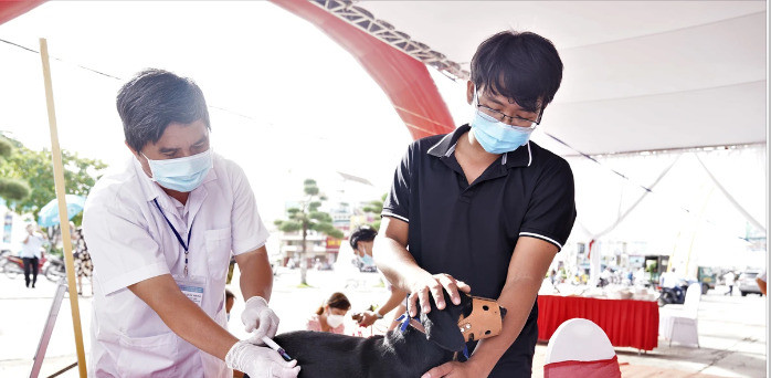 Lào Cai: Tăng cường quản lý đàn chó và đẩy mạnh công tác tiêm phòng vaccine phòng bệnh Dại
