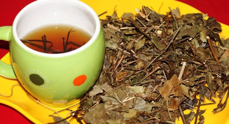 Tác dụng của chè vằng