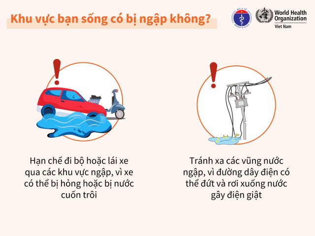 Infographic: Phòng chống dịch bệnh mùa bão lũ