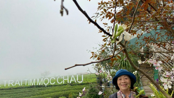 Mổ ruột thừa phát hiện ung thư tụy – Câu chuyện về sự hồi sinh của người phụ nữ U70