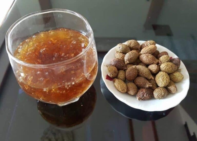 Hạt đười ươi và tác dụng hỗ trợ điều trị sỏi túi mật