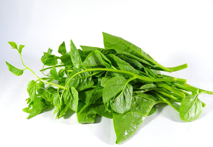 Những lưu ý khi ăn rau mồng tơi