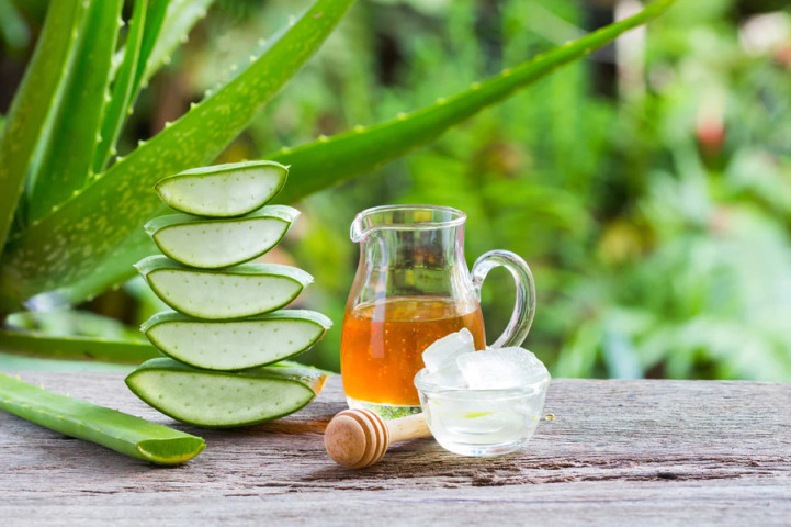 Ngũ vị thanh - Bài thuốc chữa đau dạ dày, vi khuẩn HP