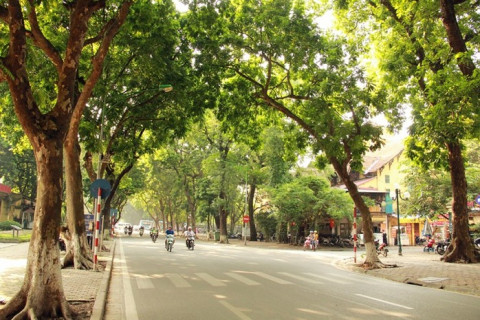 Dự báo thời tiết ngày 23/9: Bắc Bộ và Thanh Hóa trời mát, vùng núi Bắc Bộ trở lạnh