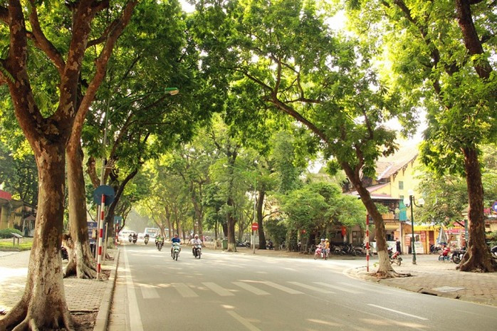 Dự báo thời tiết ngày 23/9: Bắc Bộ và Thanh Hóa trời mát, vùng núi Bắc Bộ trở lạnh
