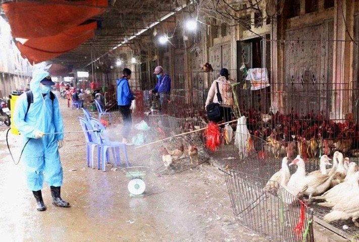 Lào Cai: Phòng, chống dịch bệnh động vật và tiêm phòng vaccine cho đàn vật nuôi