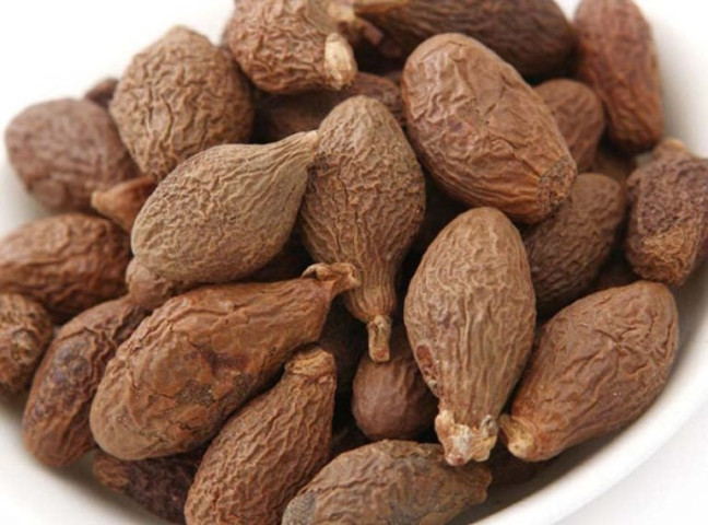 Bài thuốc chữa bệnh từ cây ươi