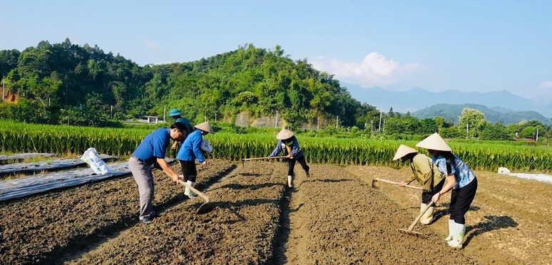 Xuất cấp hạt giống cây trồng hỗ trợ Lào Cai khôi phục sản xuất