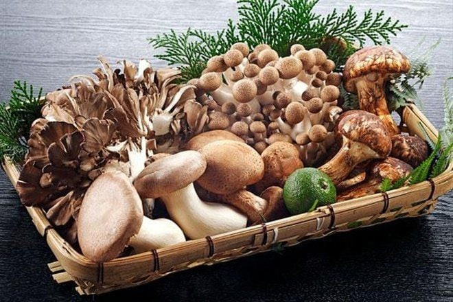 Nấm mang đến lợi ích như thế nào cho sức khỏe não bộ?