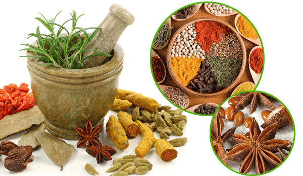 Bài thuốc điều trị bệnh ho