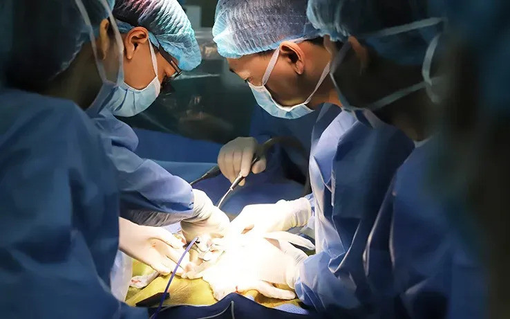 66 ca ghép gan cho trẻ em, trong đó có 48 ca tự chủ hoàn toàn về kỹ thuật
