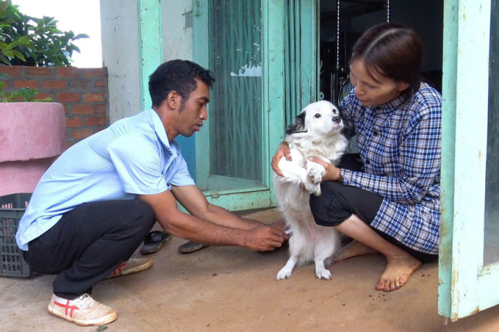 Gia Lai: Khẩn trương triển khai các giải pháp phòng, chống bệnh dại trên địa bàn tỉnh