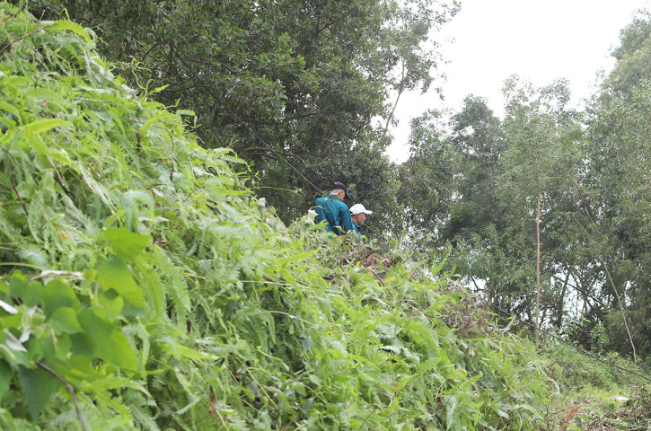 Bắc Giang: Chủ động phòng cháy, chữa cháy rừng trong mùa khô