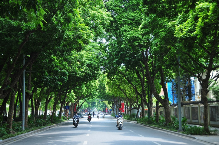 Dự báo thời tiết ngày 23/10: Bắc Bộ trời mát, Nam Bộ và Trung Bộ mưa to