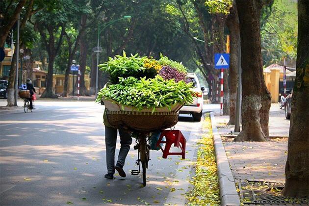 Dự báo thời tiết ngày 25/10: Miền Bắc sáng sớm có sương mù, ngày nắng