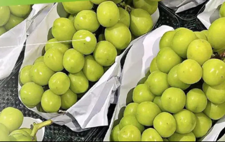 Thái Lan cảnh báo dư lượng hóa chất nguy hại vượt quá mức tối đa cho phép trong nho nhập từ Trung Quốc