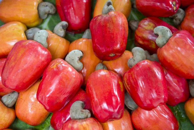 8 lợi ích của hạt điều