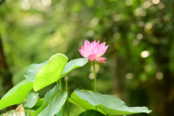 Hà Nội biểu dương 6 cá nhân là gương điển hình tiên tiến, người tốt, việc tốt