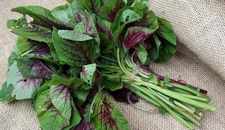 Loại rau giàu canxi, tốt cho xương người cao tuổi