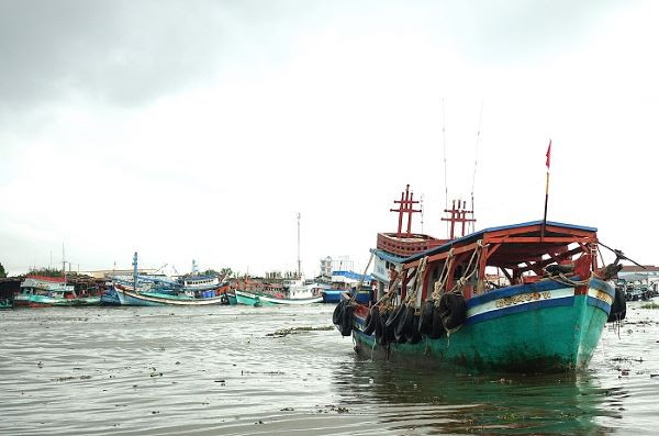 Cà Mau: Chủ động theo dõi bão YINXING gần biển Đông