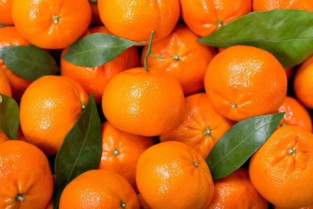 8 lợi ích của quả quýt