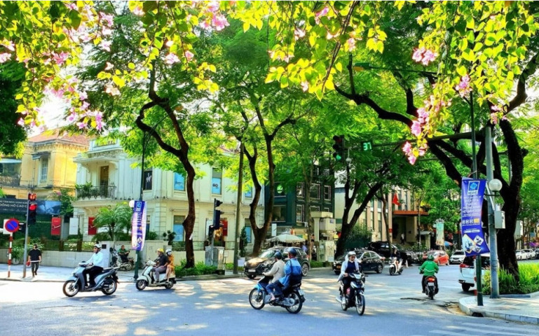 Dự báo thời tiết ngày 10/11: Miền Bắc ngày nắng, miền Nam có mưa rào và dông vài nơi