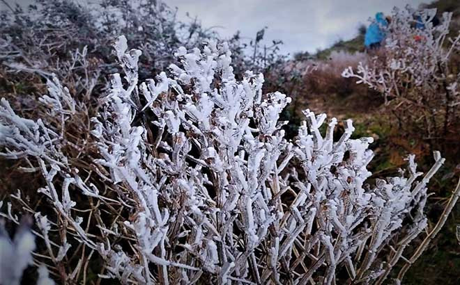 Yên Bái yêu cầu chủ động ứng phó với gió mùa Đông Bắc, trời chuyển rét