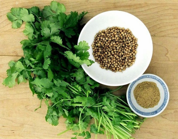 Bài thuốc chữa bệnh từ cây rau mùi