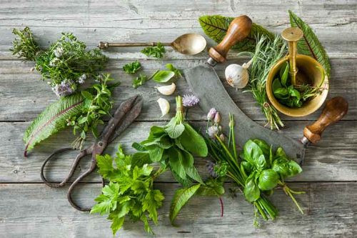 Bài thuốc xông, ngâm điều trị trĩ từ 6 thành phần quen thuộc