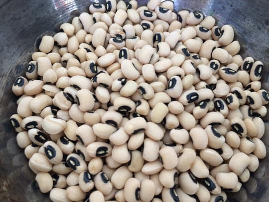 Công dụng của đậu trắng