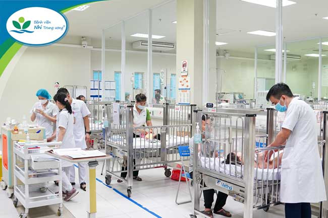 Cấp cứu kịp thời 2 bệnh nhi 2 tuổi bị ngộ độc do ăn nhầm lá hoa thủy tiên