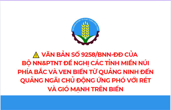 Chủ động ứng phó với rét và gió mạnh trên biển