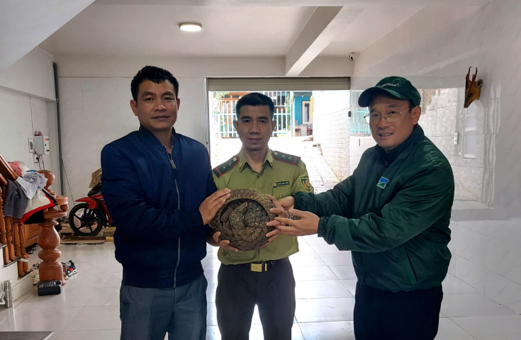Lâm Đồng: Thả cá thể tê tê Java quý hiếm do người dân giao nộp về môi trường tự nhiên