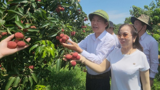 Thanh Hóa: Nhiều điểm sáng trong sản xuất nông sản an toàn