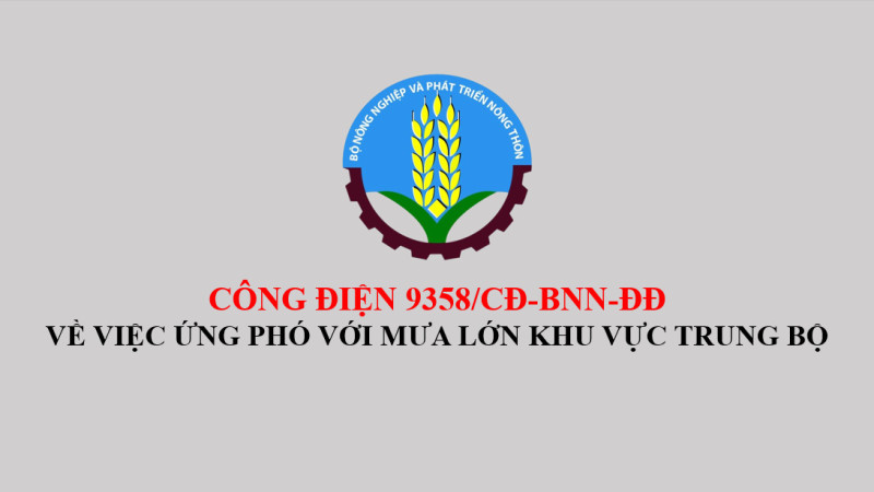 Ứng phó với mưa lớn khu vực Trung Bộ