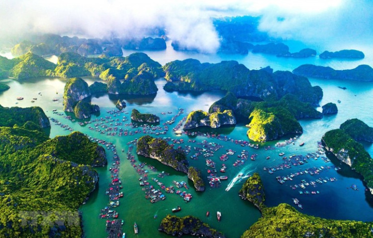 Phê duyệt đề án mở rộng, thành lập mới các khu bảo tồn biển, phục hồi các hệ sinh thái biển