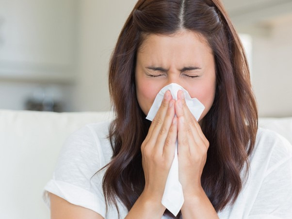 Bài thuốc điều trị bệnh cảm cúm